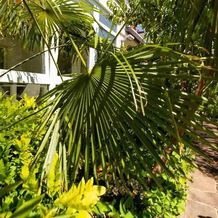 Apartman In Mit Garten By Interhome